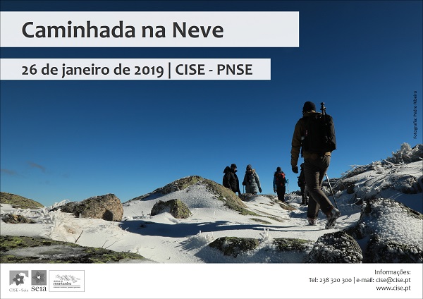 neve 2019 net