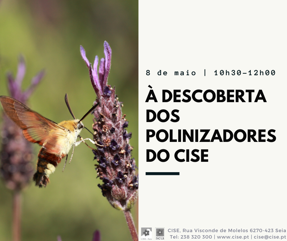 cartazes parque verde CISE