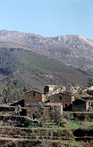 aguincho