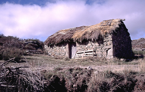 8-ChaodeCelorico